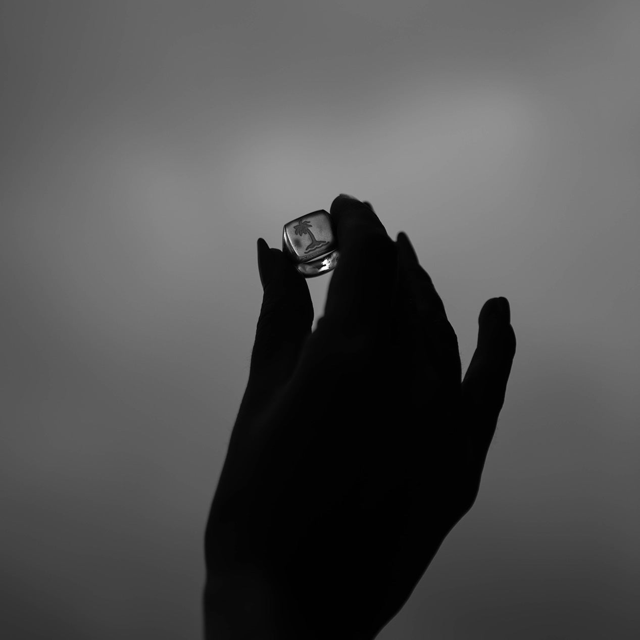 Hand In dark holding up a titanium signet ring with an engraved palm tree.